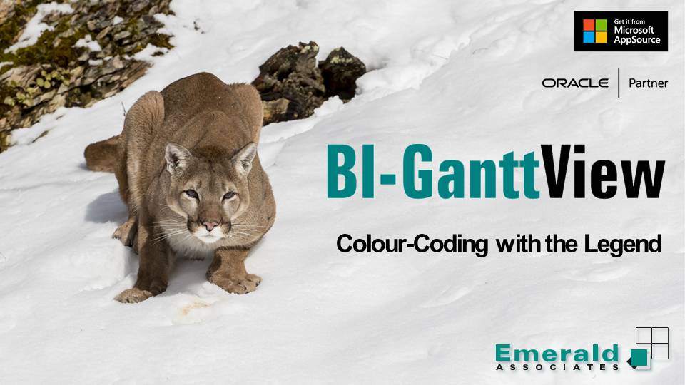 Colour-Coding Using the Legend in Emerald BI-GanttView